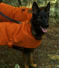 L.L.Bean & Noah Kahan Reversible Field Coat for Dogs