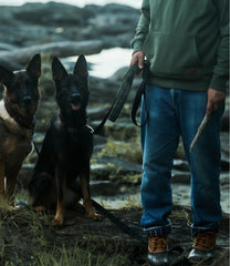 L.L.Bean & Noah Kahan Novelty Dog Leash