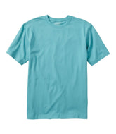 Men's Carefree Unshrinkable Tee Traditional Fit Short-Sleeve