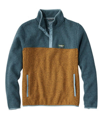 Men's L.L.Bean Sweater Fleece Pullover Colorblock