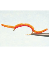 San Juan Worm 2-Pack