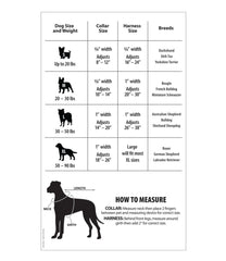 Reflective Personalized Pet Collar