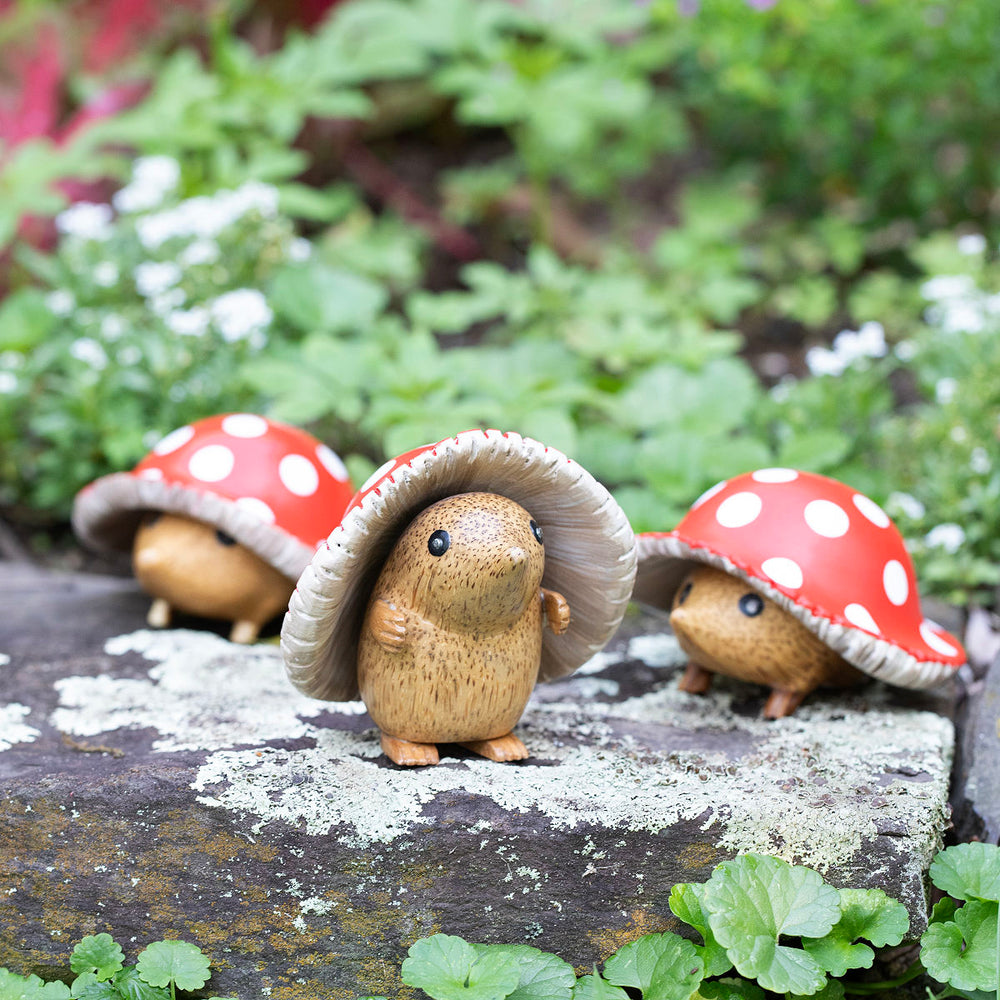 Mushroom Garden Hedgie