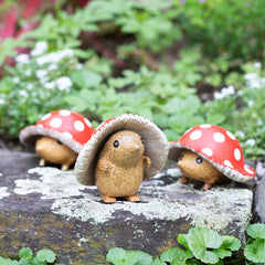 Mushroom Garden Hedgie
