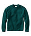Rollneck Men's Bean's Classic Ragg Wool Sweater