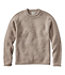 Rollneck Men's Bean's Classic Ragg Wool Sweater