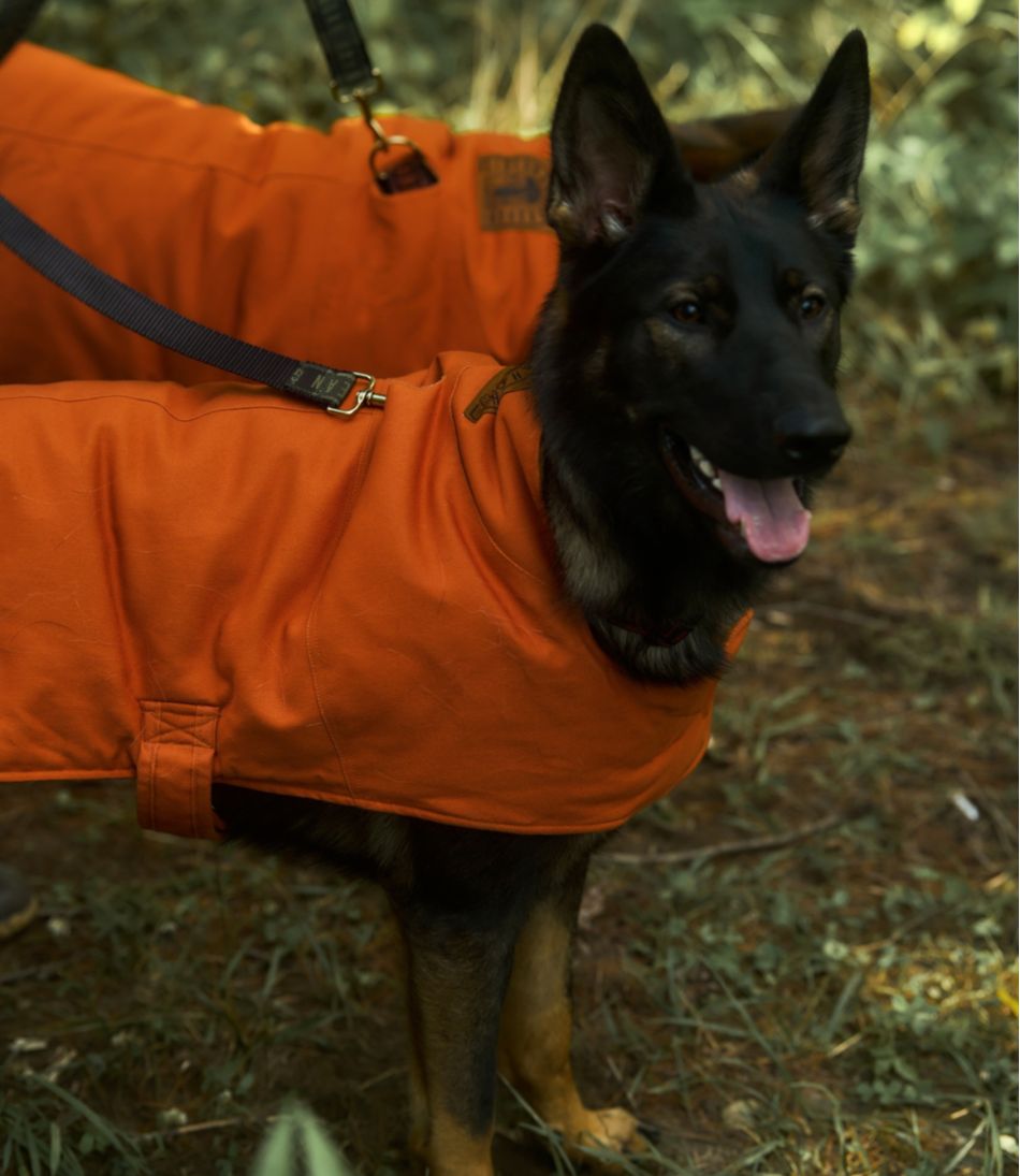 L.L.Bean & Noah Kahan Reversible Field Coat for Dogs