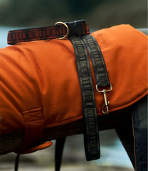 L.L.Bean & Noah Kahan Novelty Dog Leash