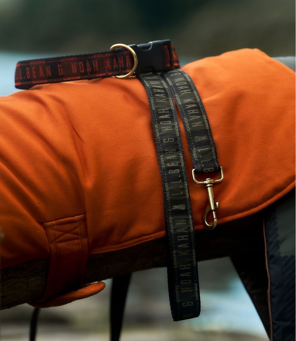 L.L.Bean & Noah Kahan Novelty Dog Collar