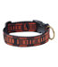 L.L.Bean & Noah Kahan Novelty Dog Collar