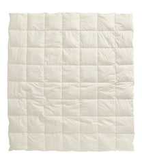 Box-Stitch Goose Down Comforter Warm