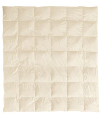 Warm Baffle Box Stitch Goose Down Comforter