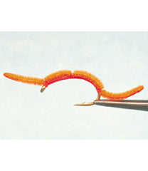 San Juan Worm 2-Pack