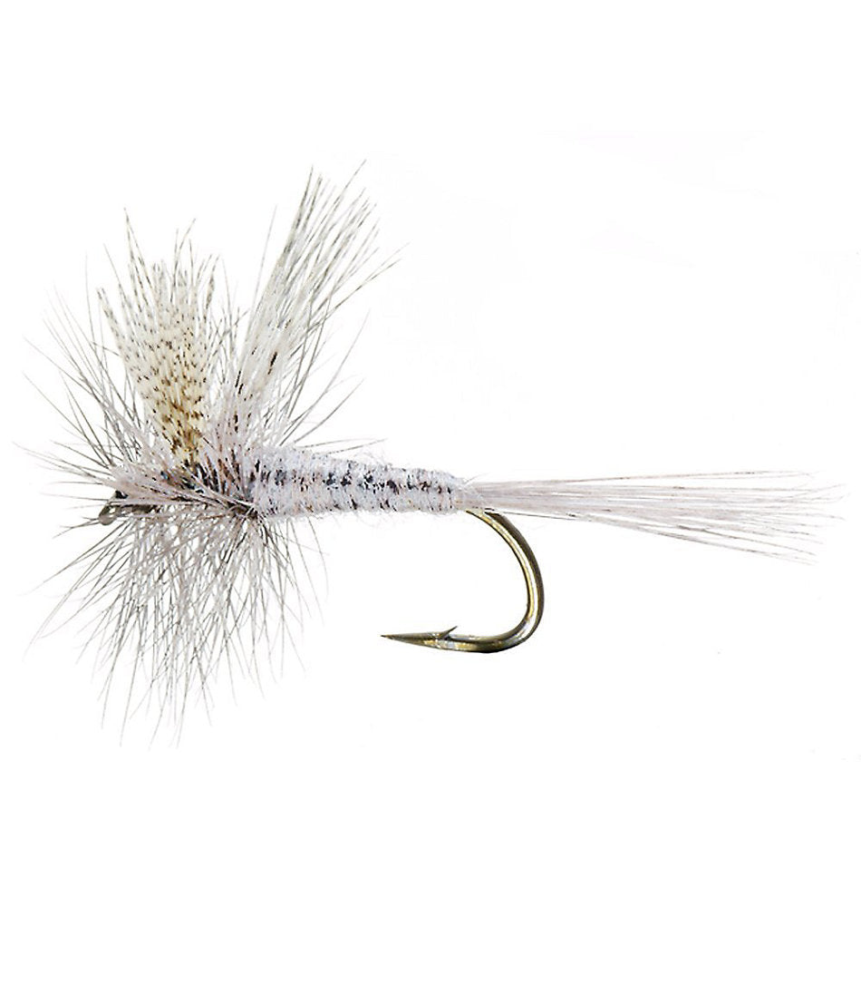 Hendrickson 2 Pack