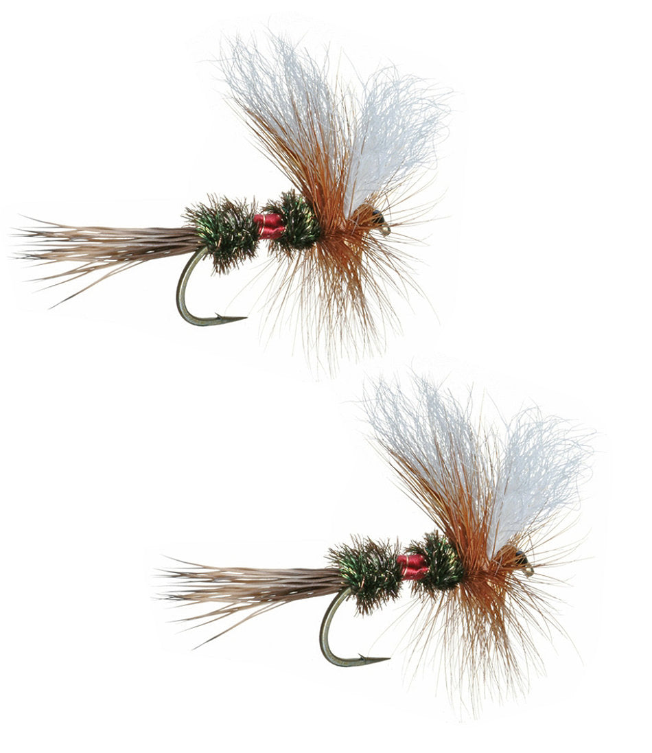 2-Pack Royal Wulff