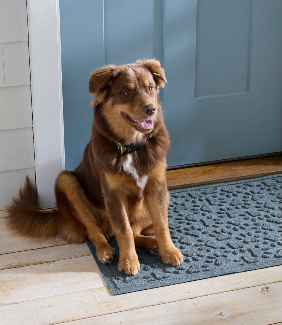 Scattered Paws Recycled Waterhog Dog Mat