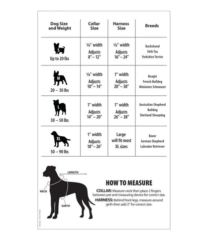 Personalized Pet Collar, Reflective