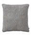 Wicked Plush Throw Pillow