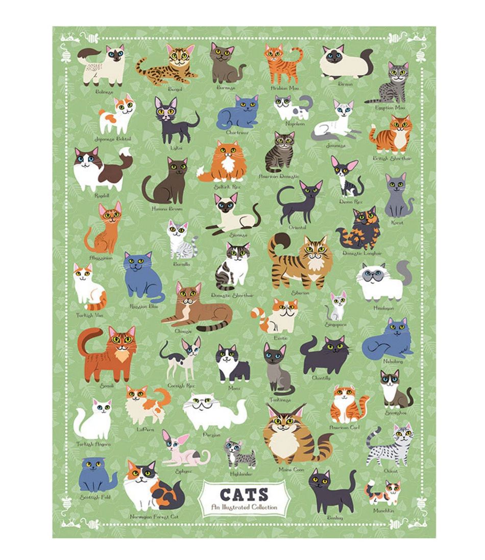 Illustrated Cats Puzzle 500 Pieces